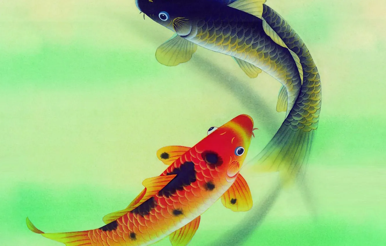 Photo wallpaper fish, pair, carp