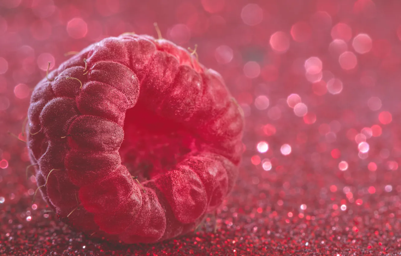 Photo wallpaper macro, berries, Sparkling raspberry