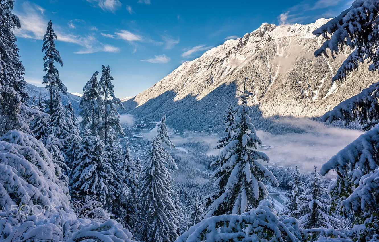 Photo wallpaper winter, snow, mountains, spruce forest
