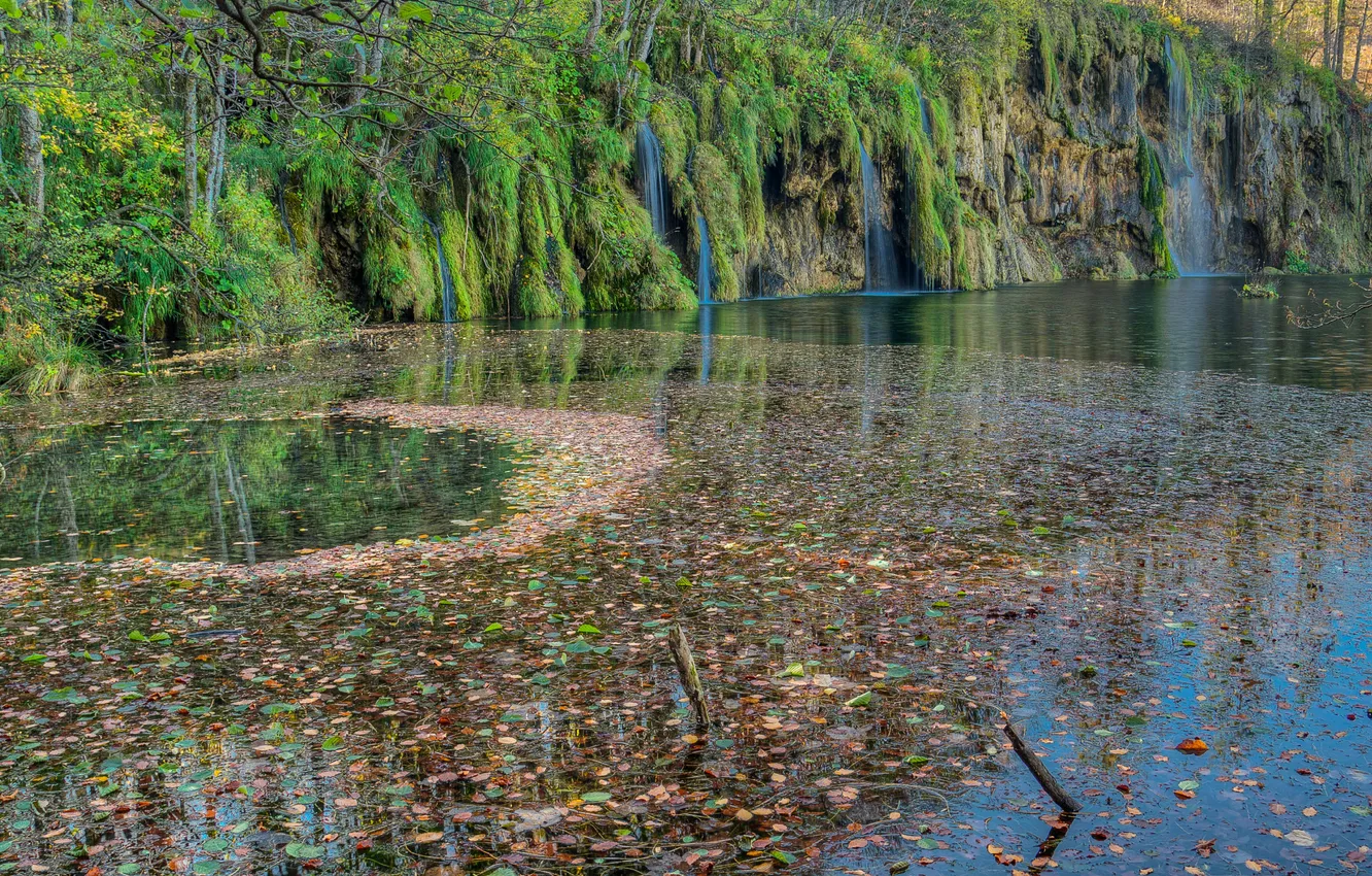 Photo wallpaper leaves, lake, moss, waterfalls, Croatia, Plitvice Lakes