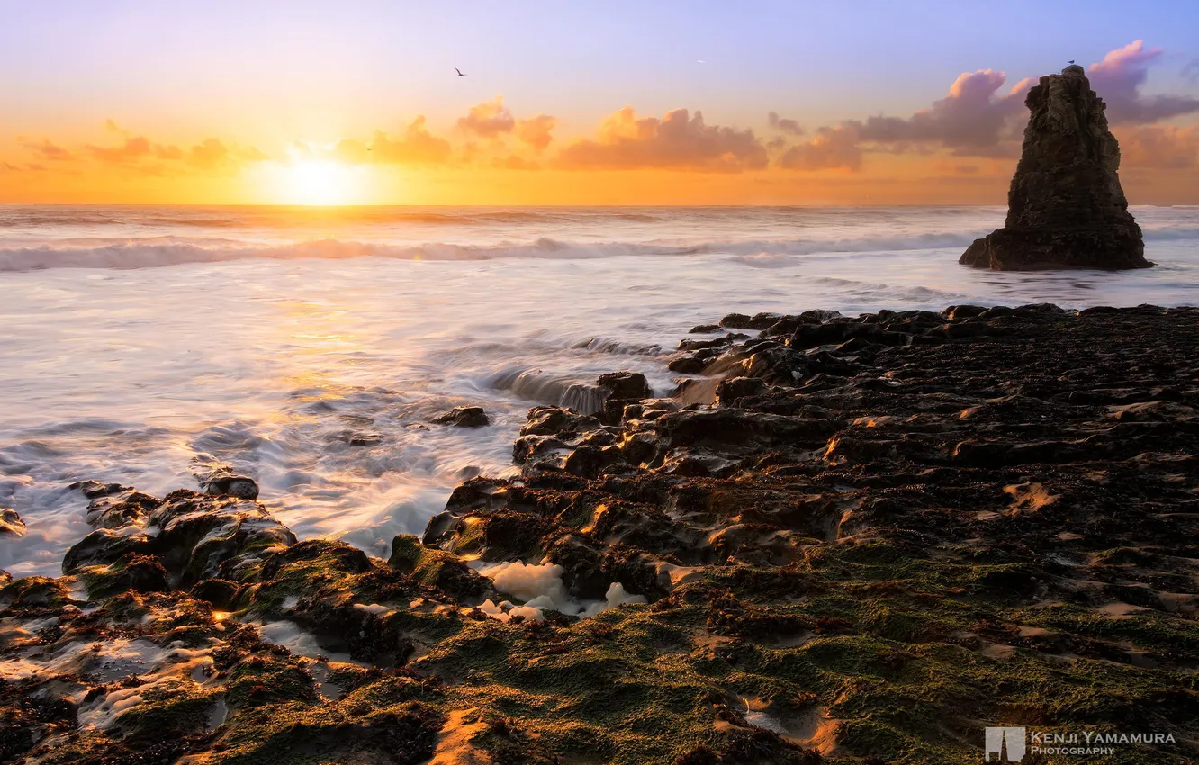 Photo wallpaper sea, sunset, rock, coast, photographer, tide, Kenji Yamamura