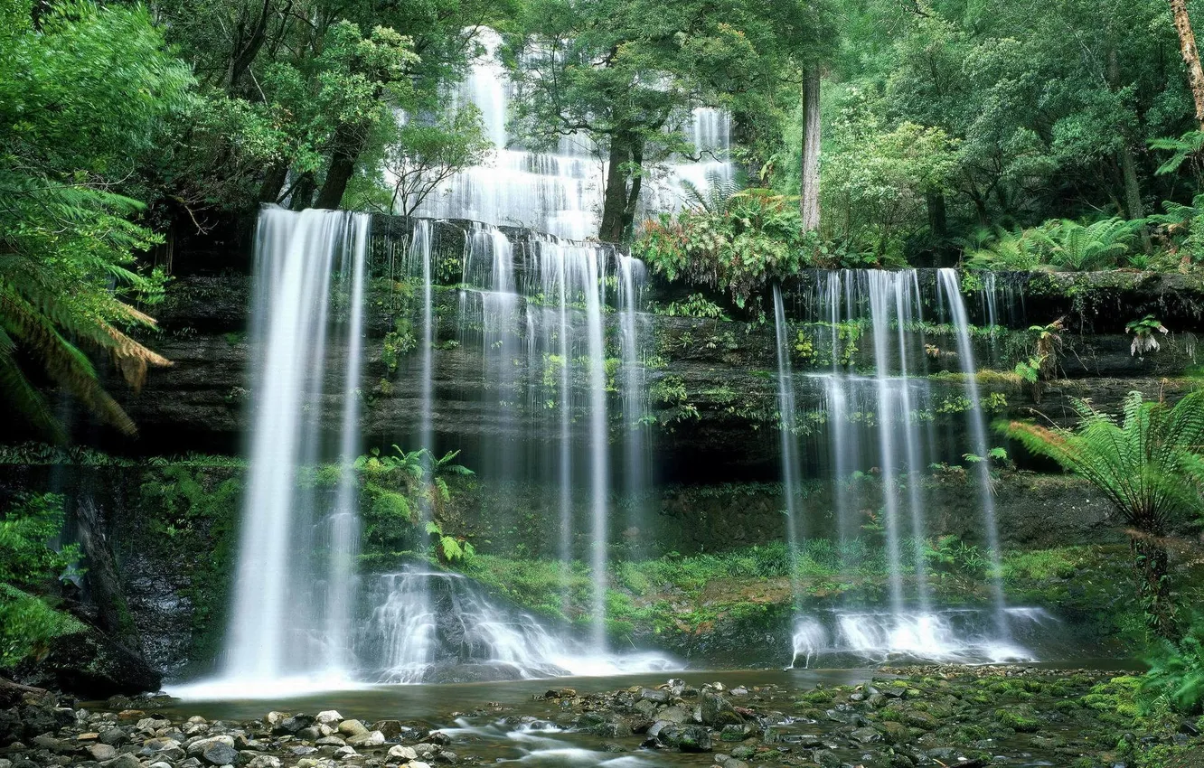 Photo wallpaper forest, stones, waterfall