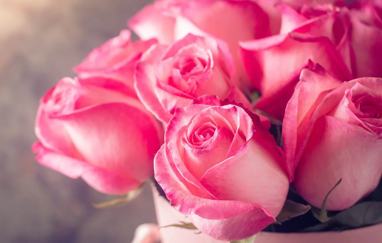 Photo wallpaper roses, bouquet, pink, rose, flower, pink, bouguet
