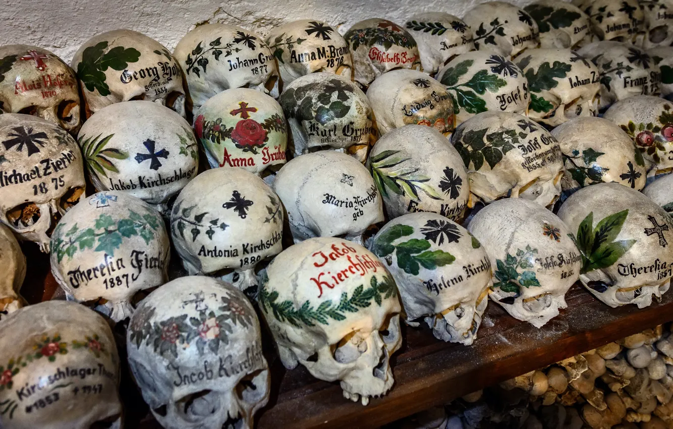 Photo wallpaper background, skull, bones