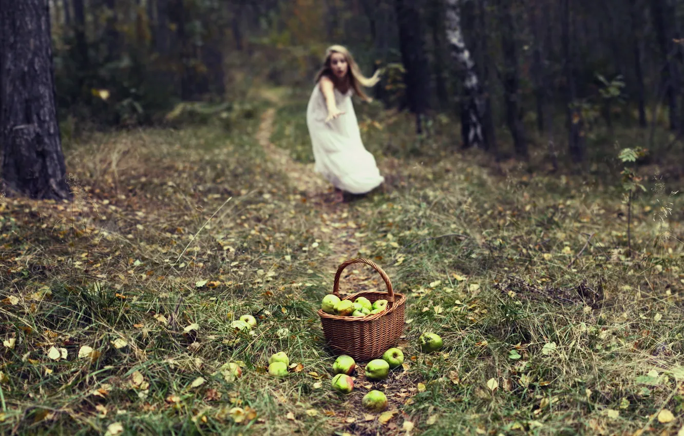Photo wallpaper girl, apples, the situation