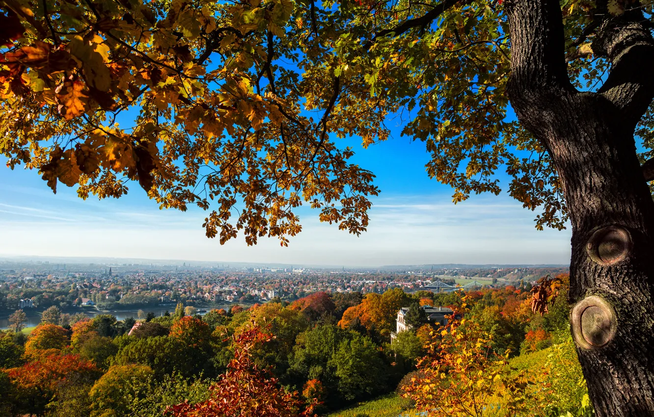 Photo wallpaper autumn, trees, bridge, the city, hills, view, home, Germany