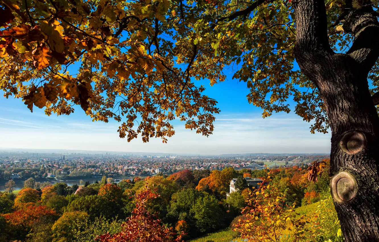 Photo wallpaper autumn, trees, bridge, the city, tree, view, home, Germany