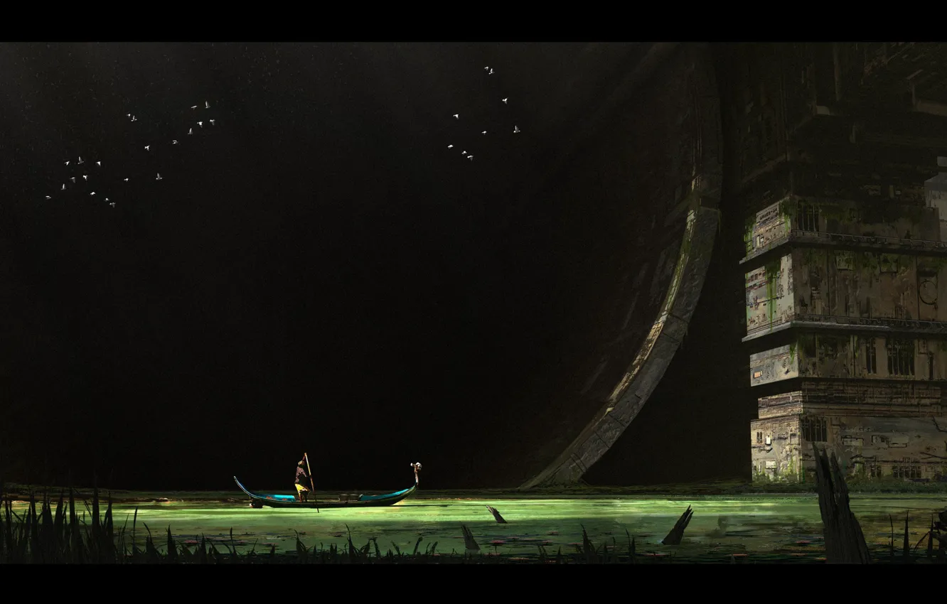 Photo wallpaper bird, boat, construction, Forager