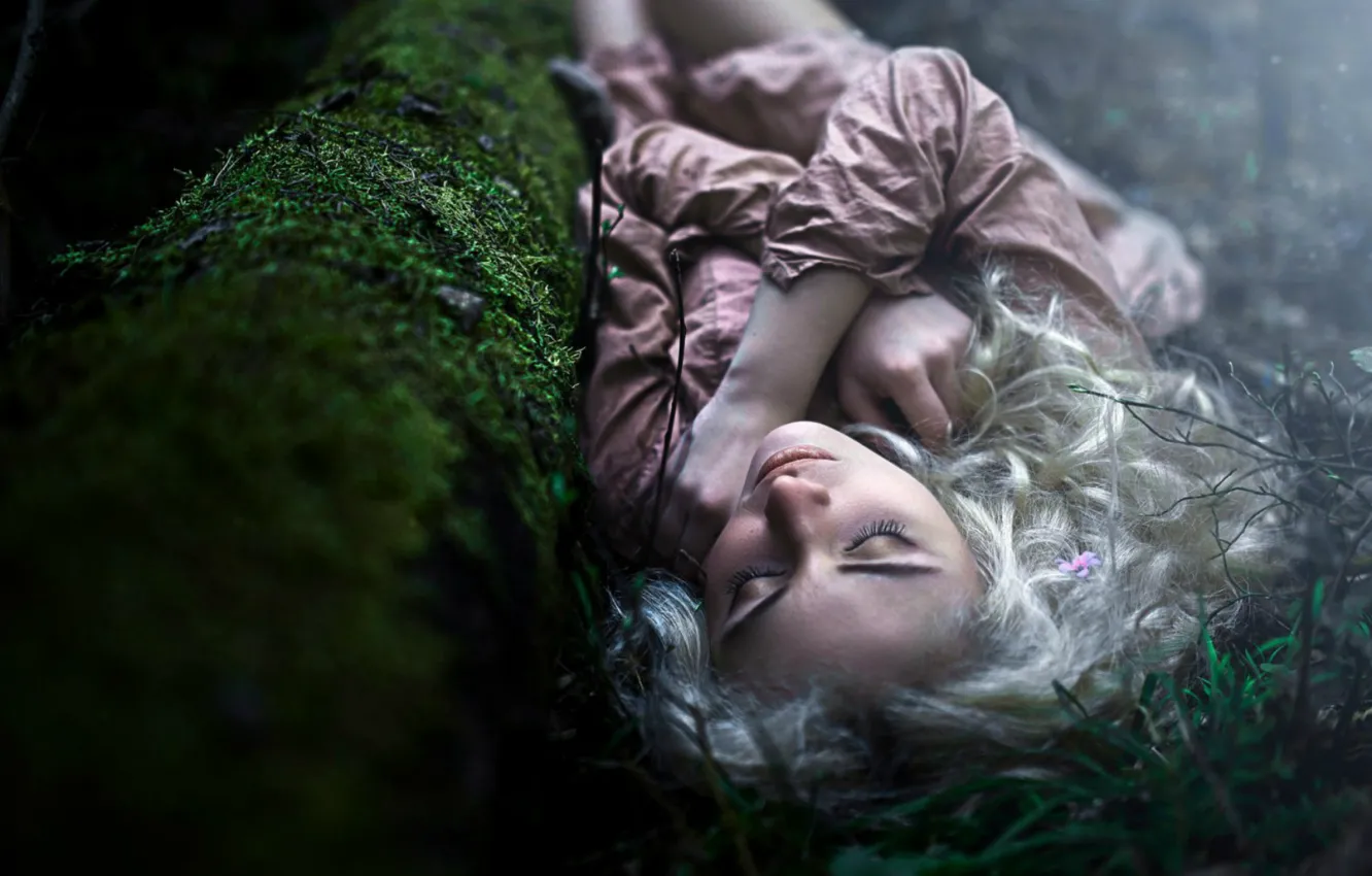 Photo wallpaper forest, the victim, twilight, baby, ditch, lethargy