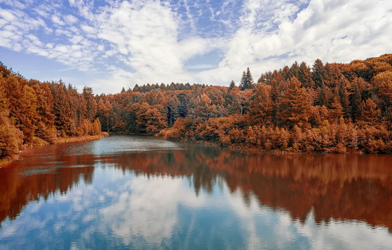Photo wallpaper autumn, forest, landscape, nature, river