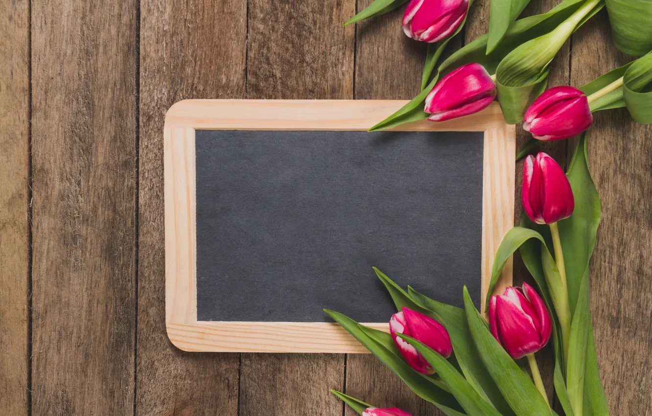 Photo wallpaper flowers, frame, tulips, Board, pink, fresh, wood, pink
