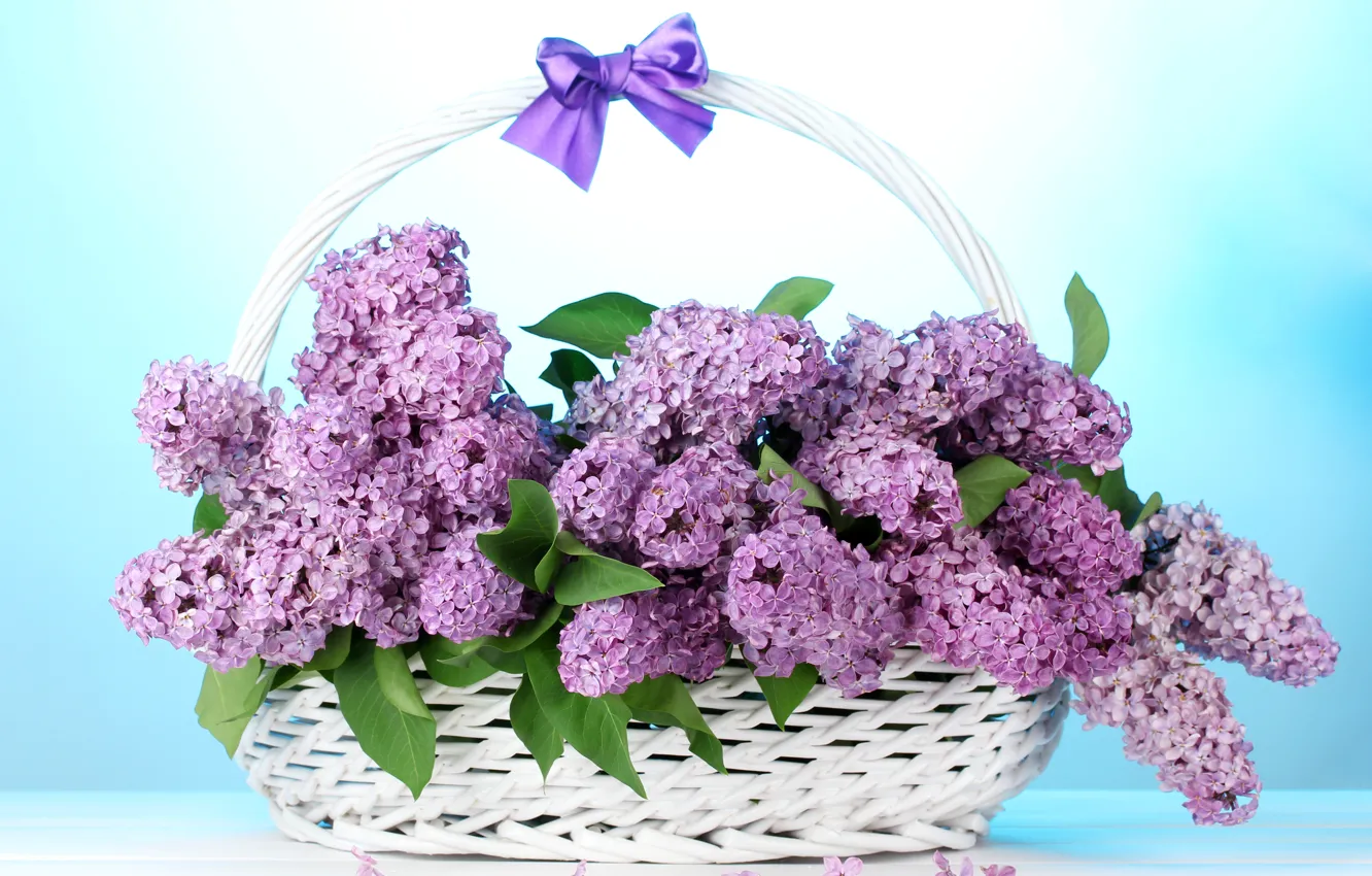 Photo wallpaper flowers, bouquet, bow, basket, lilac