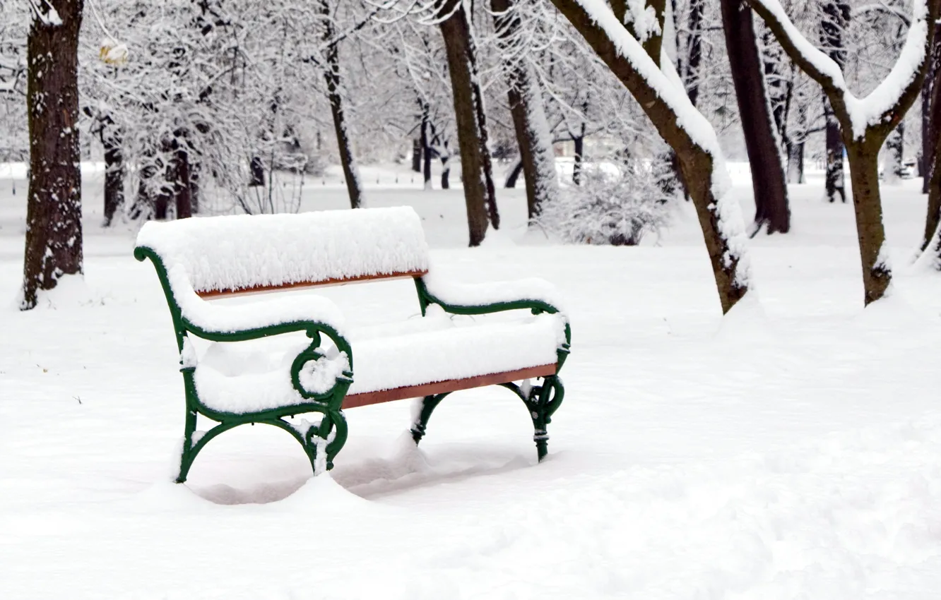 Photo wallpaper trees, bench, Park, winter, snow, winter landscape