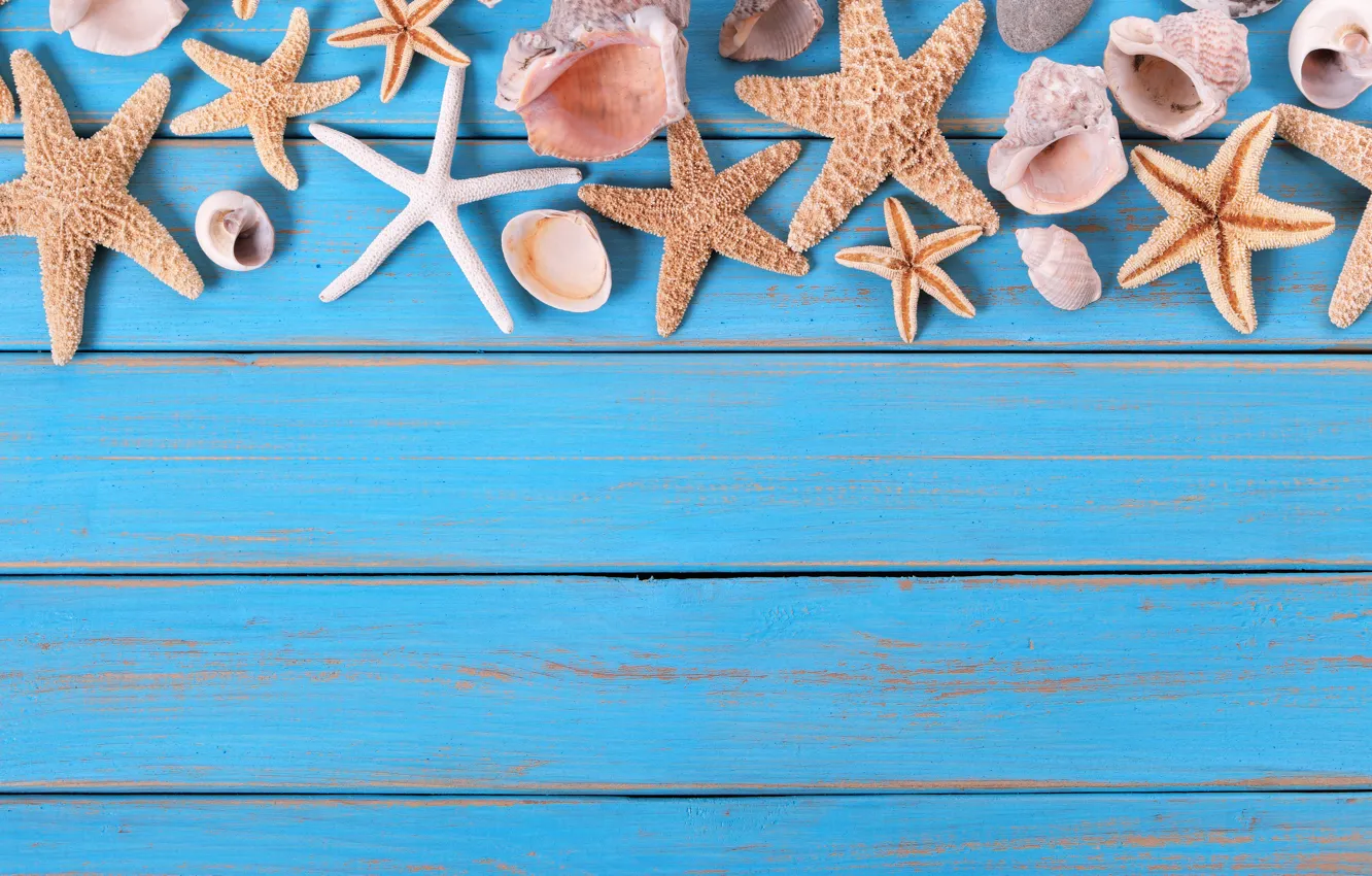 Photo wallpaper beach, background, Board, star, shell, summer, beach, wood