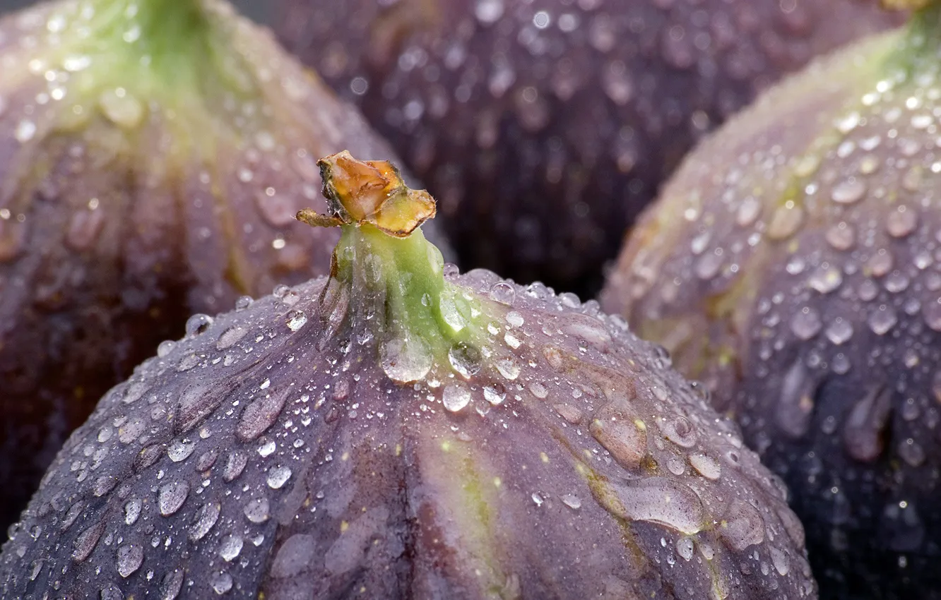 Photo wallpaper water, drops, Rosa, food, figs, sweet