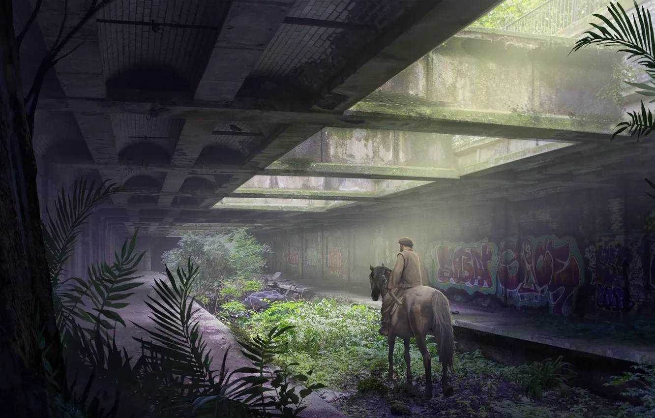 Photo wallpaper graffiti, vegetation, rider, desolation, Horseman