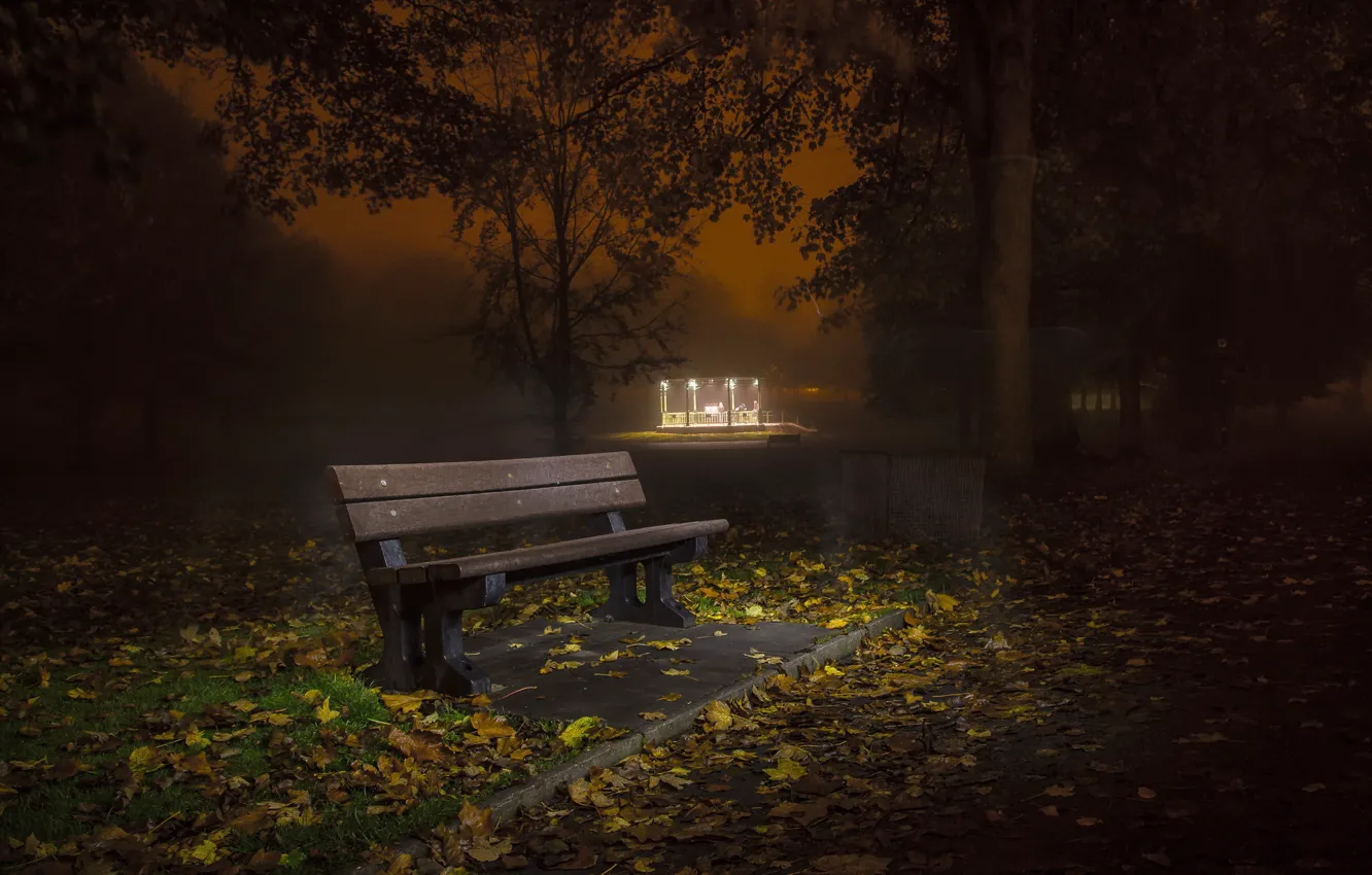 Photo wallpaper autumn, night, the city, street, bench