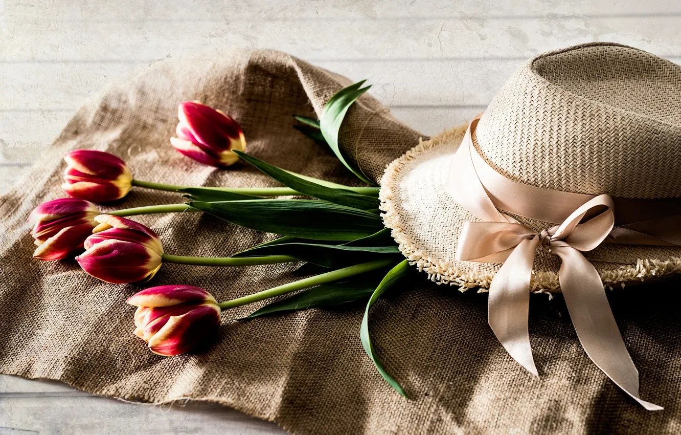 Photo wallpaper flowers, hat, tape, tulips