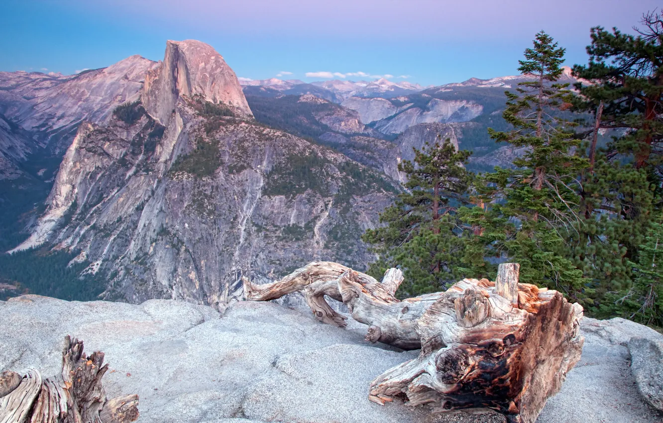 Photo wallpaper trees, landscape, mountains