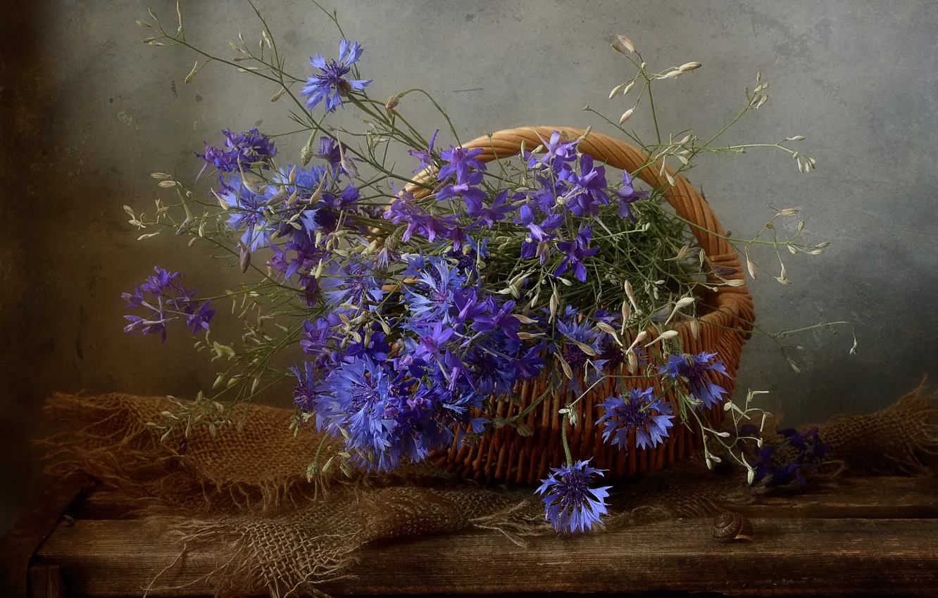 Photo wallpaper flowers, blue, the dark background, blue, bouquet, still life, basket, burlap