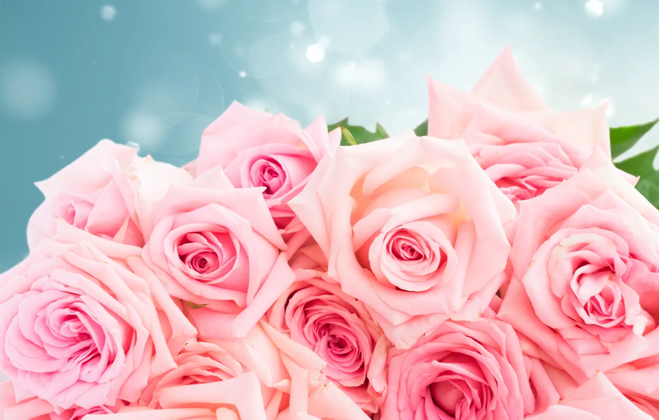 Photo wallpaper roses, bouquet, pink, flowers, roses, pink roses