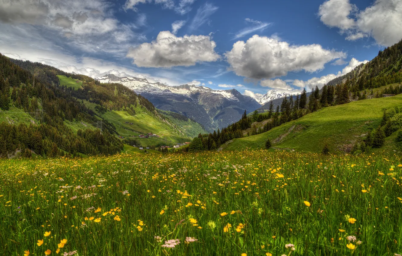 Photo wallpaper flowers, mountains, spring, Switzerland, valley, Alps, meadow, Switzerland