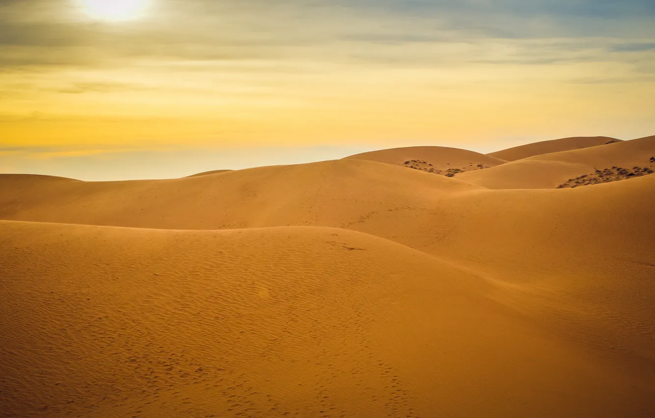 Photo wallpaper sand, the sun, sunset, stay, desert, desert, sunset, sun