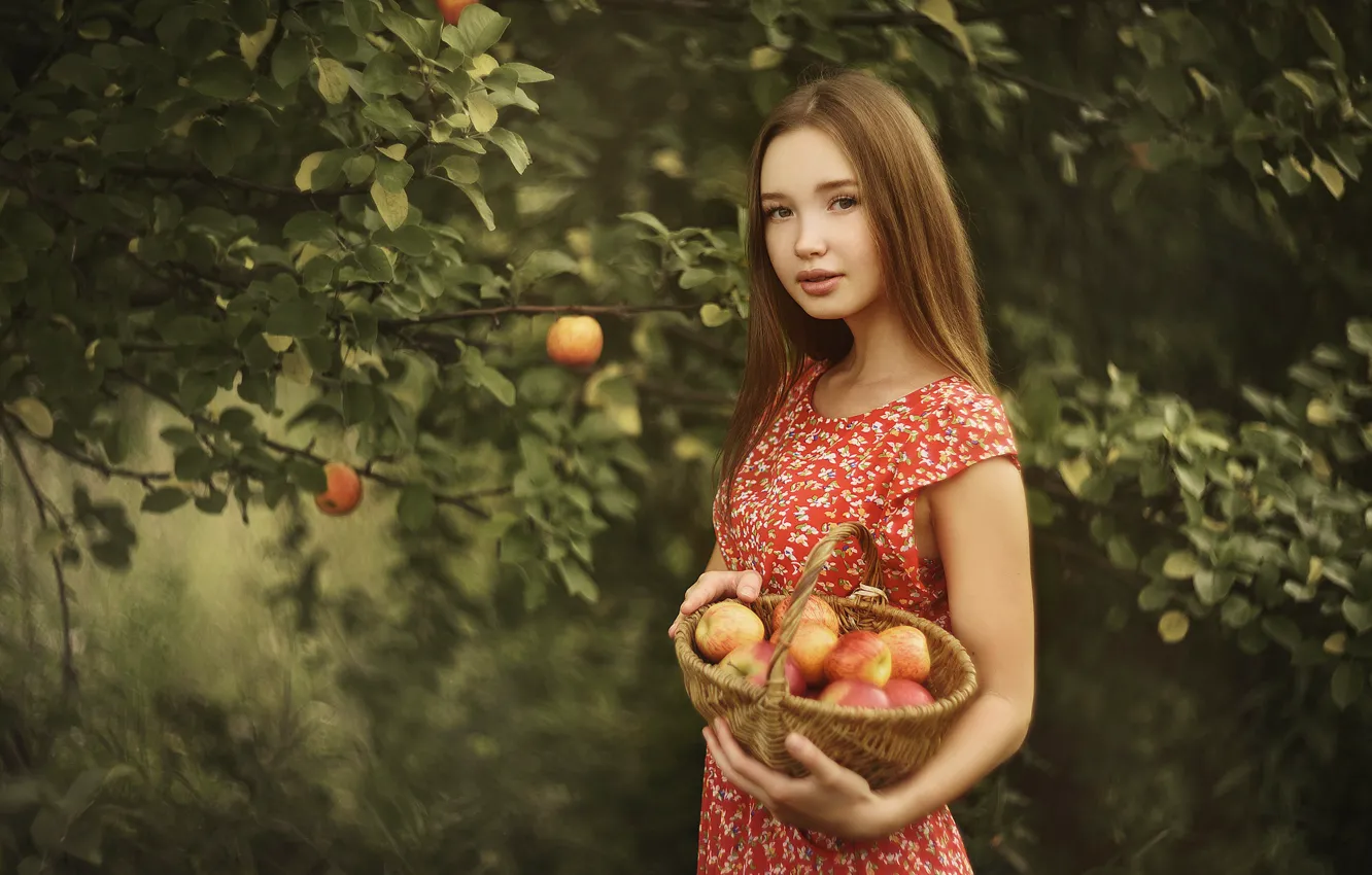 Photo wallpaper summer, girl, trees, nature, basket, apples, garden, dress