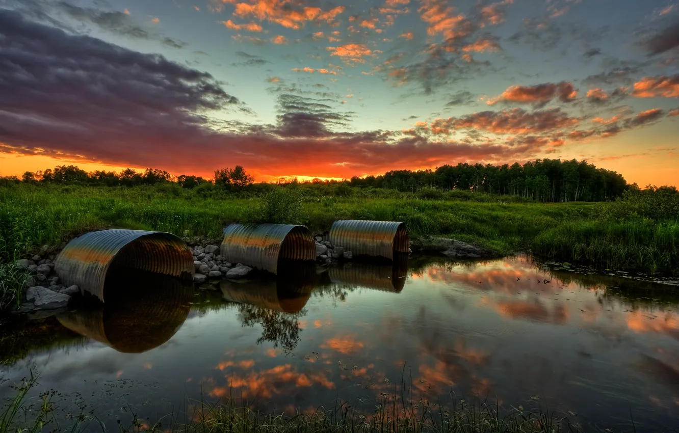 Photo wallpaper forest, the sky, sunset, swamp