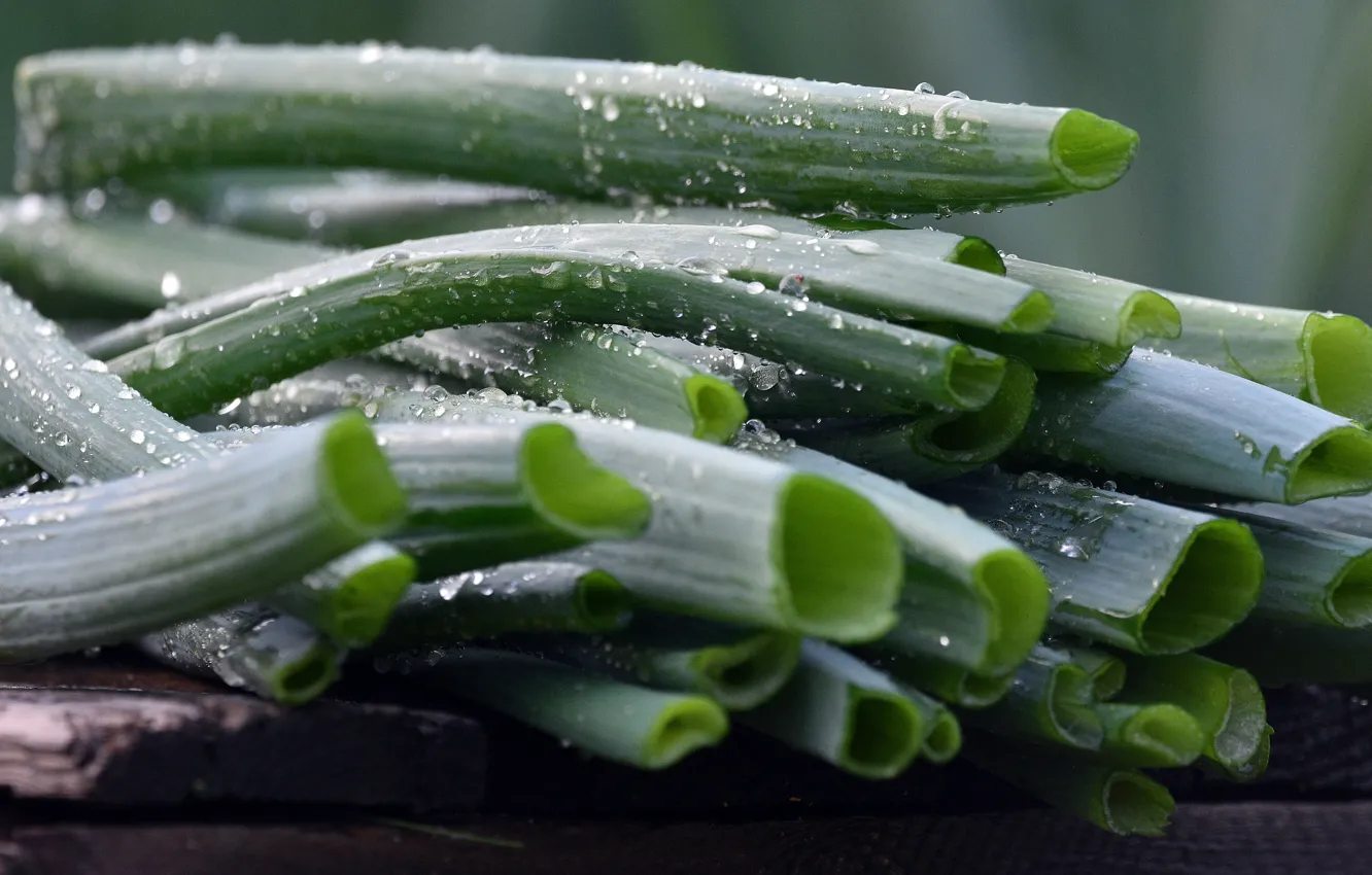 Photo wallpaper greens, drops, green, feathers, bow, box, juicy, fresh