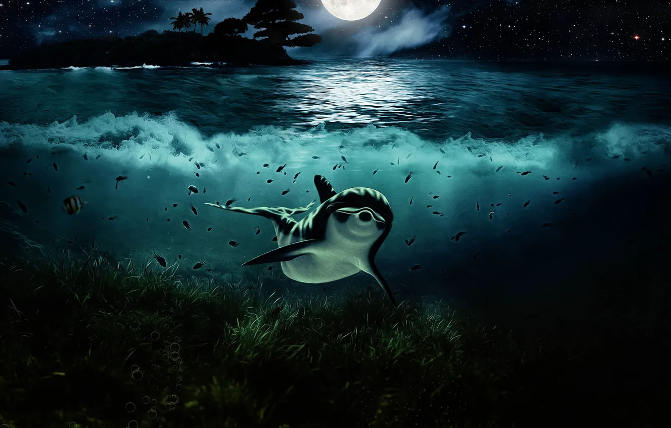 Photo wallpaper Water, Night, Look, The moon, Dolphin, Art, Underwater world, Algae