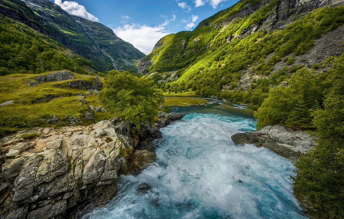 Photo wallpaper trees, mountains, river, stones, for, Norway, gorge, Sogn and Fjordane