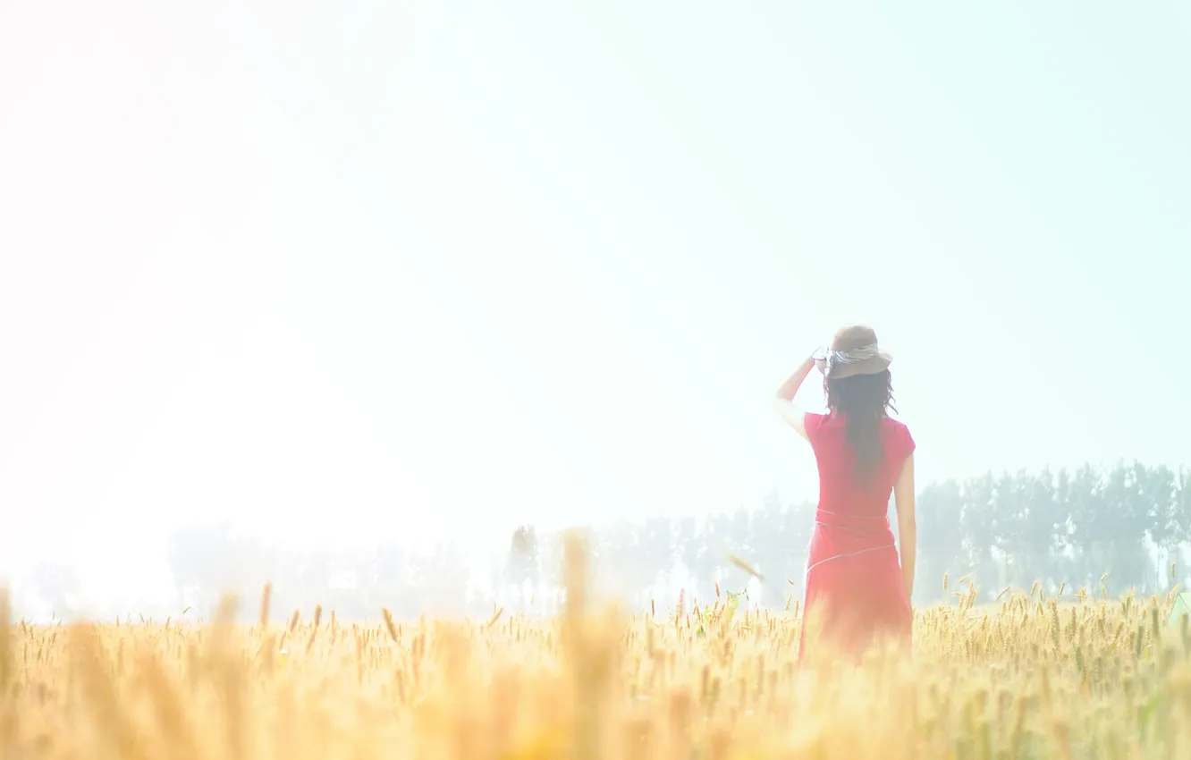 Photo wallpaper field, summer, girl, the sun, nature