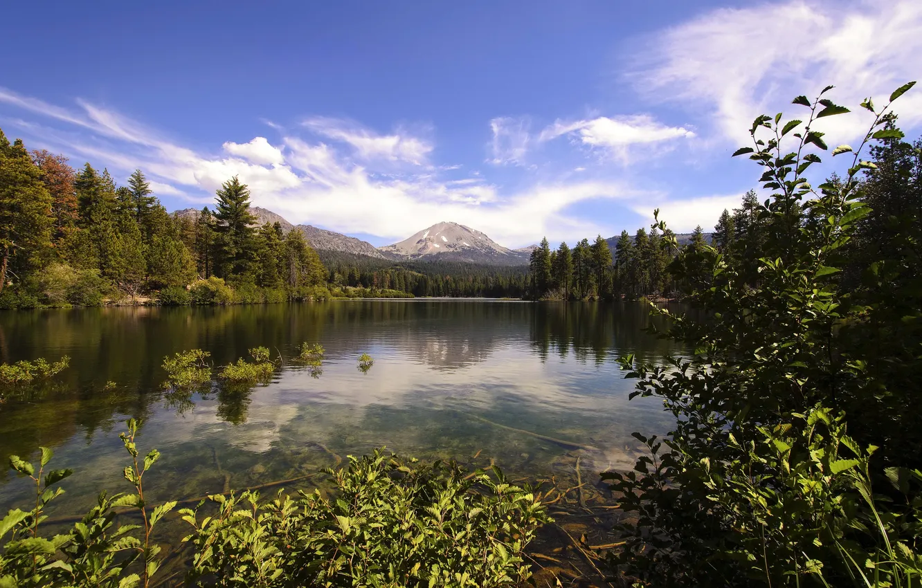 Photo wallpaper forest, clouds, trees, mountains, lake, CA, USA, the bushes