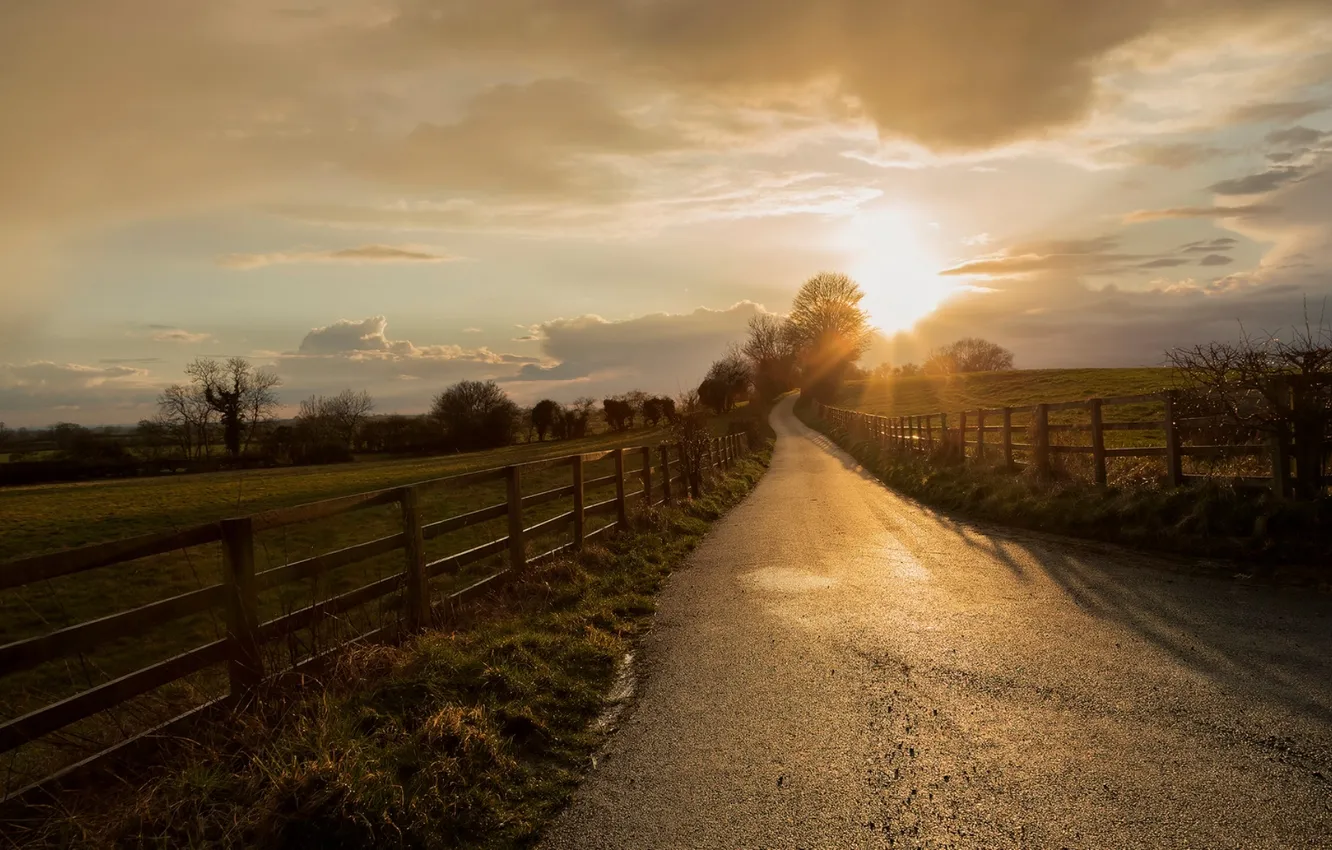 Photo wallpaper road, the fence, morning