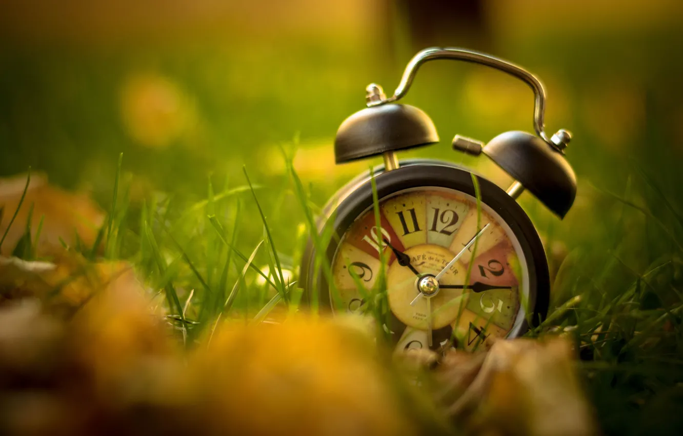 Photo wallpaper grass, leaves, watch, alarm clock, vintage