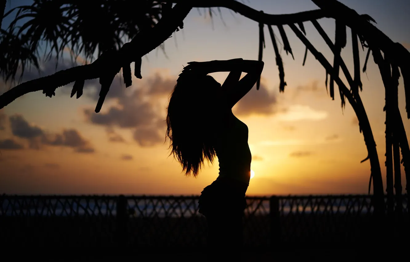 Photo wallpaper ass, chest, the sky, girl, clouds, sunset, hair, shadow