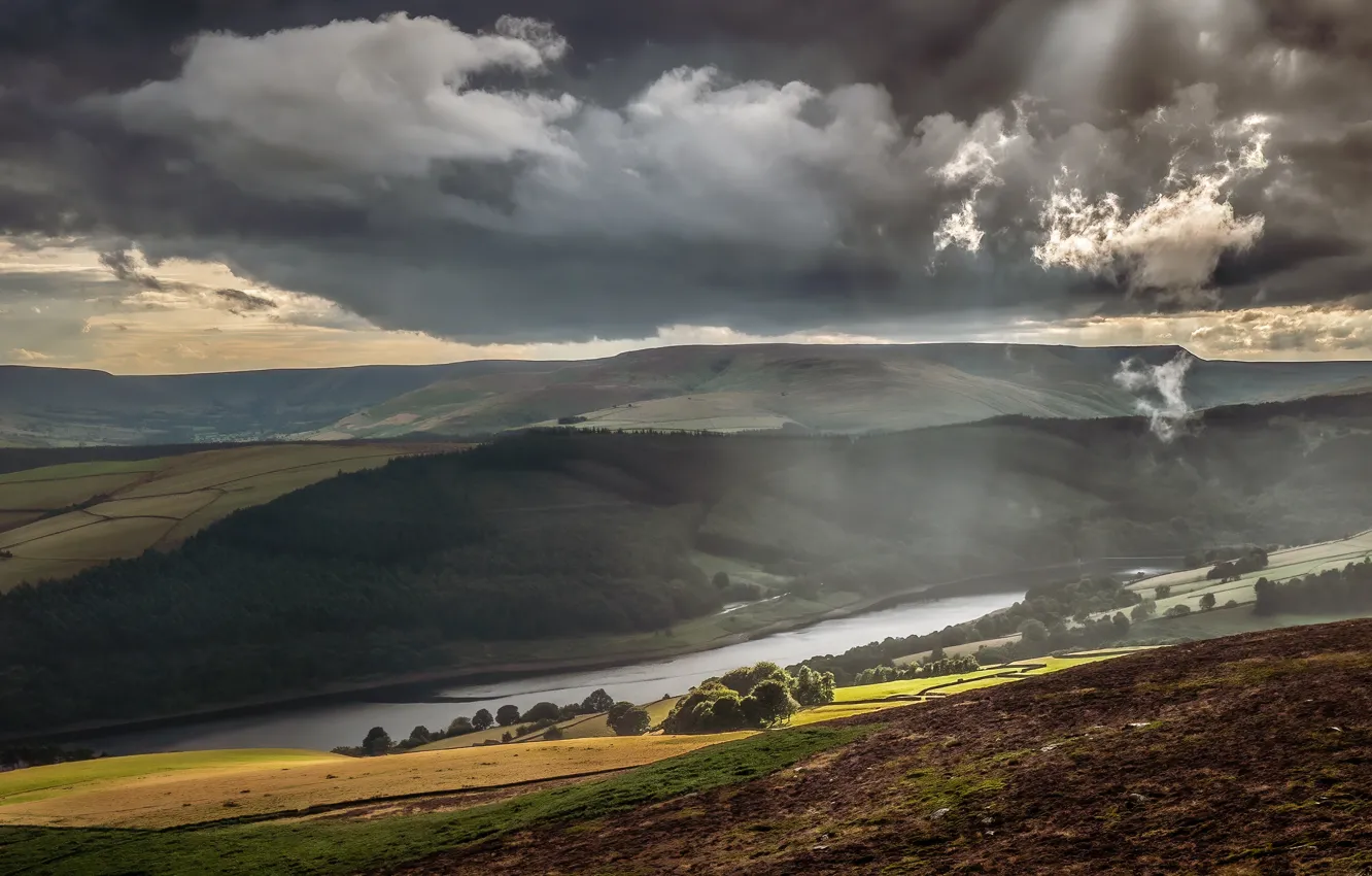 Photo wallpaper field, forest, the sky, light, trees, mountains, clouds, fog