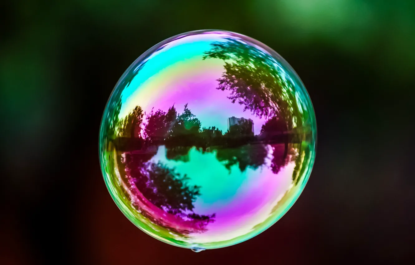 Photo wallpaper macro, reflection, background, mood, Wallpaper, color, blur, widescreen