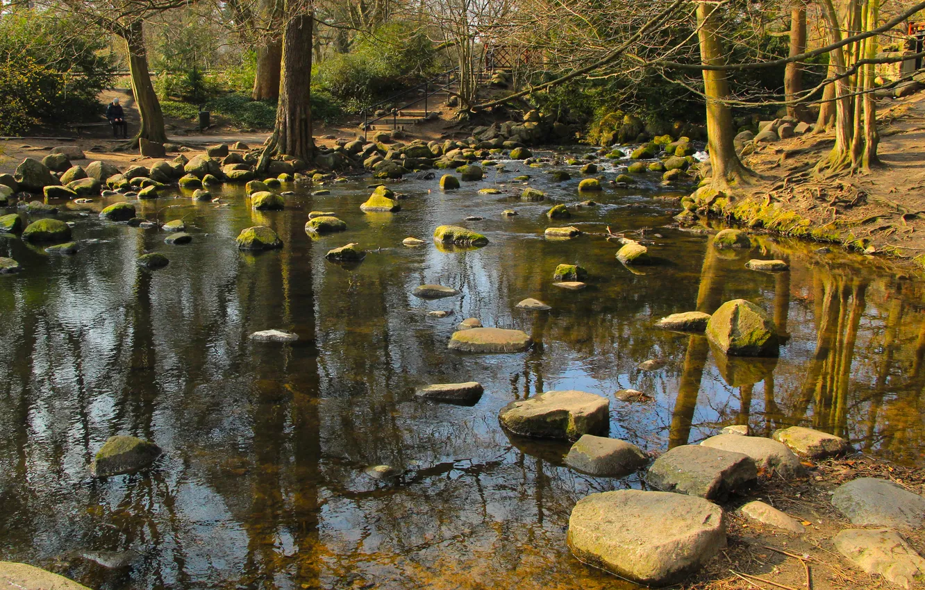 Photo wallpaper river, water, park, stones