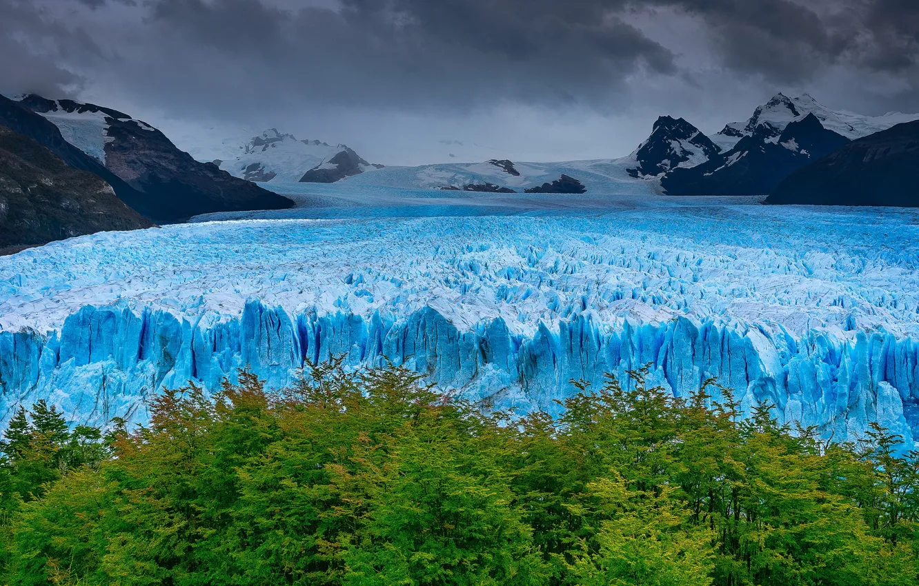 Photo wallpaper trees, mountains, glacier, Argentina, Santa Cruz