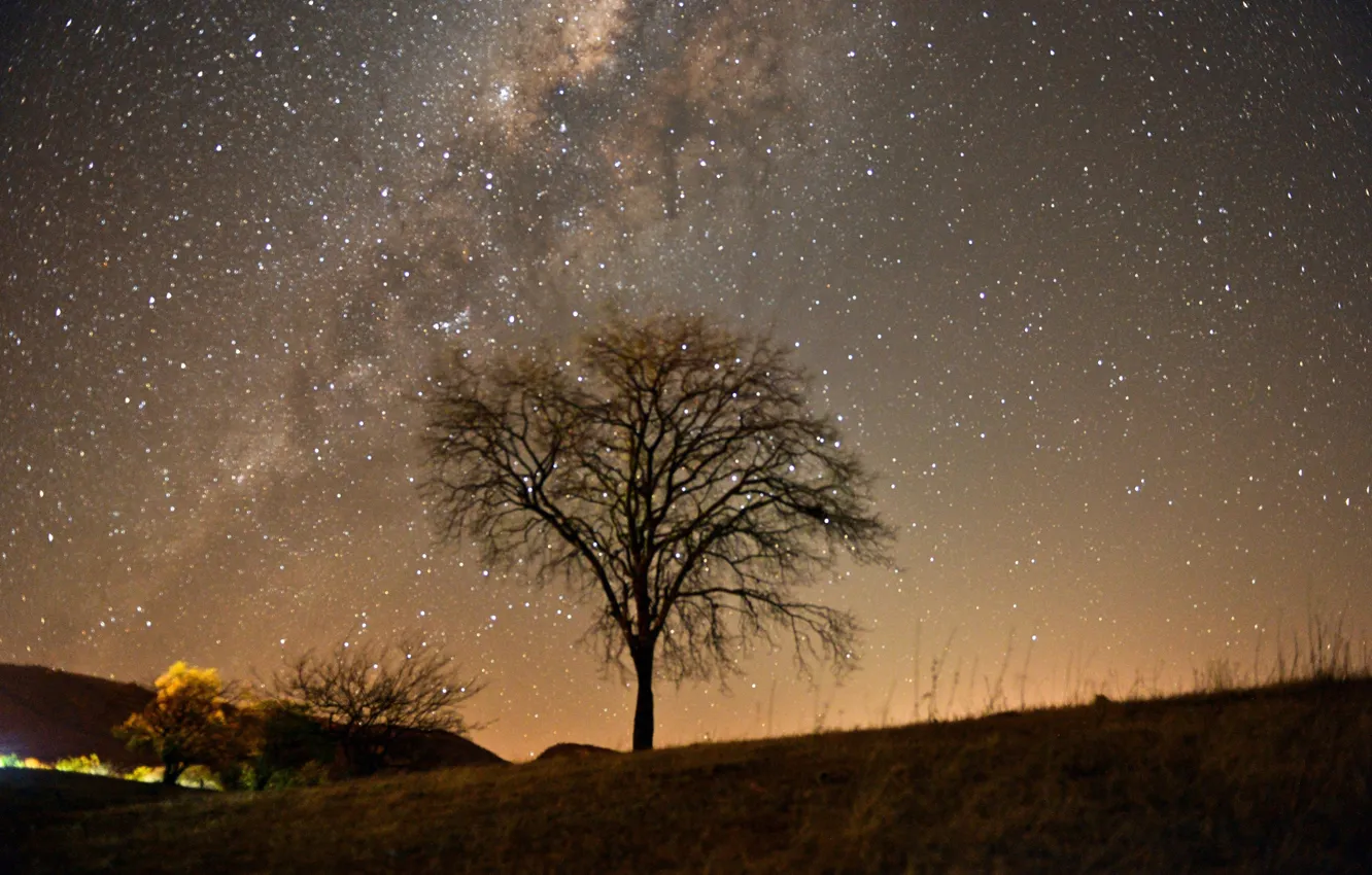 Photo wallpaper sky, stars, tree, Brazil, Brasil, Paraiba