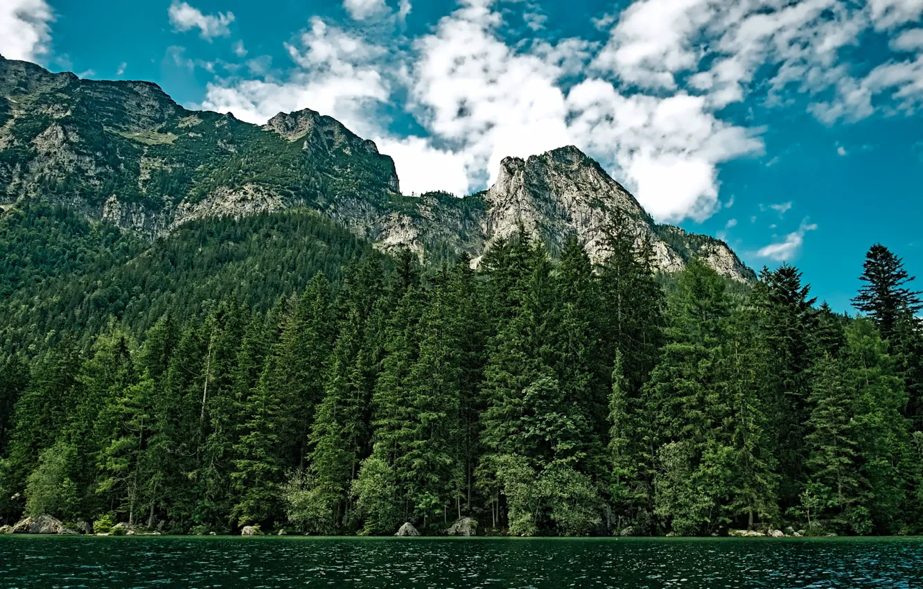 Photo wallpaper forest, clouds, trees, mountains, lake, stones, Washington, USA