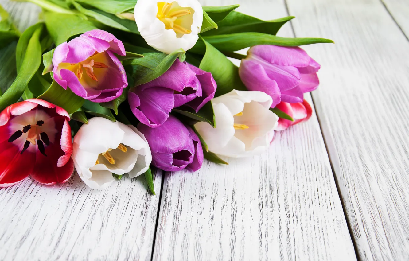 Photo wallpaper flowers, bouquet, colorful, tulips, wood, flowers, tulips, spring