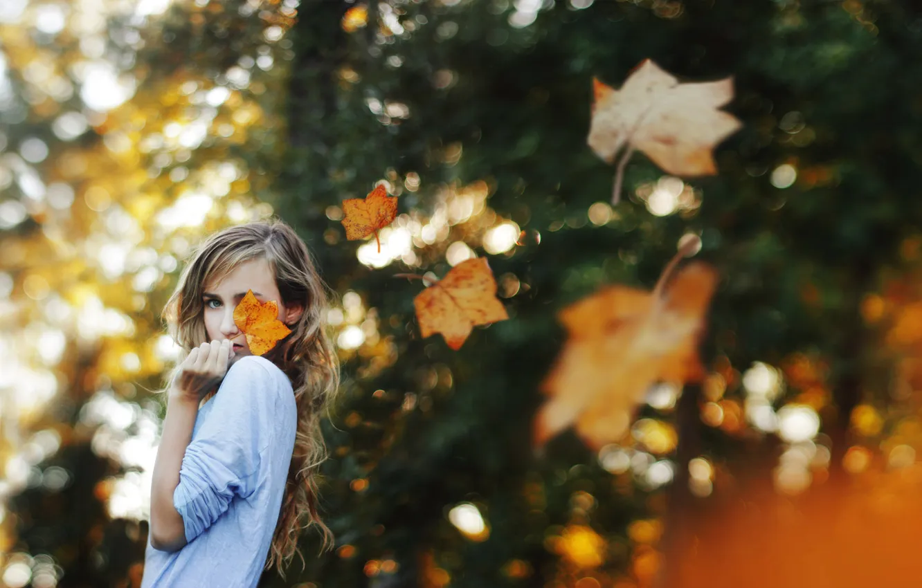Photo wallpaper forest, woman, mood