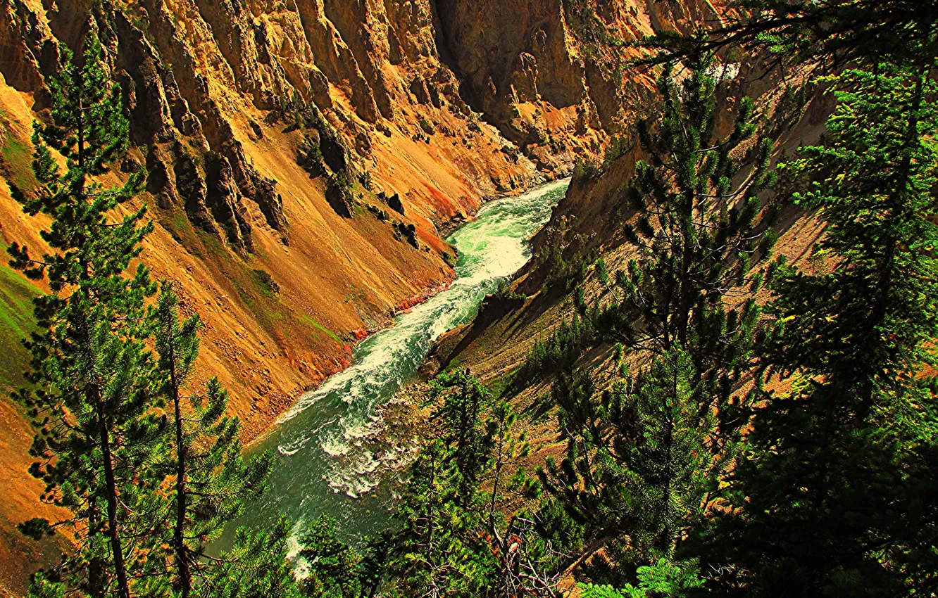 Photo wallpaper trees, mountains, river, rocks, gorge, USA, Yellowstone National Park