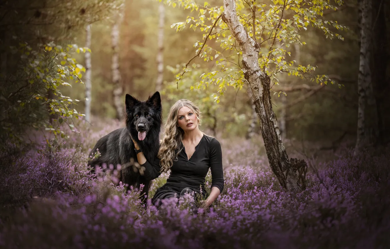 Photo wallpaper summer, flowers, woman, dog, Heather