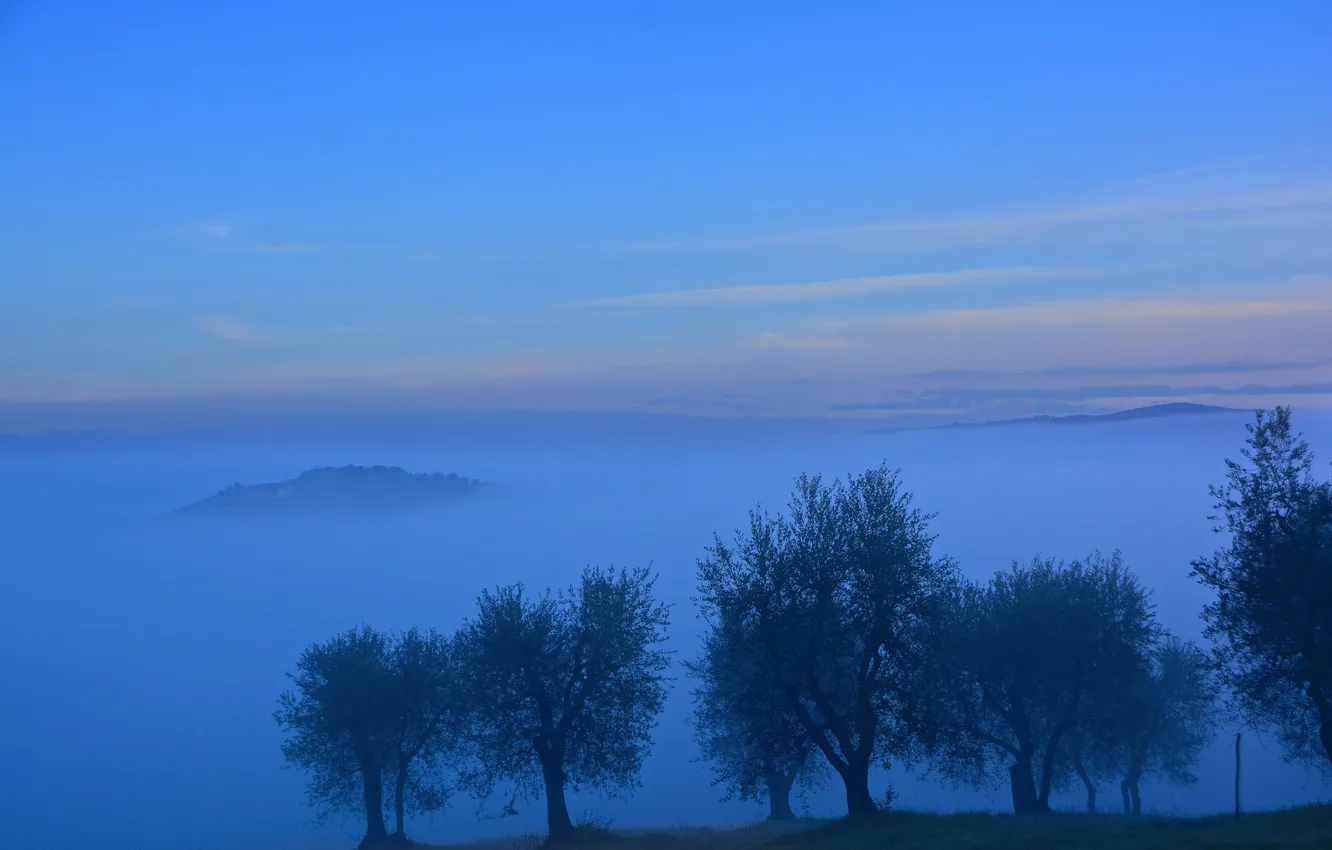Photo wallpaper the sky, clouds, trees, sunset, mountains, fog