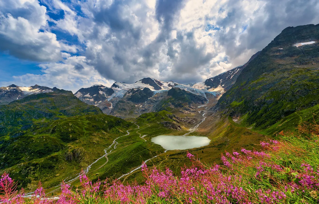 Photo wallpaper summer, flowers, mountains, lake, hills, the slopes, view, Alps