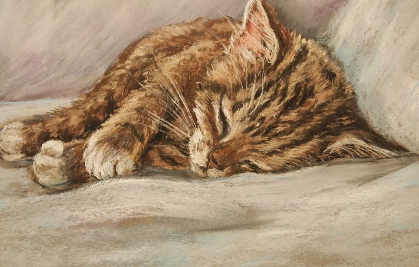Photo wallpaper cat, sleeping kitten, ginger kitten, D.Burgus